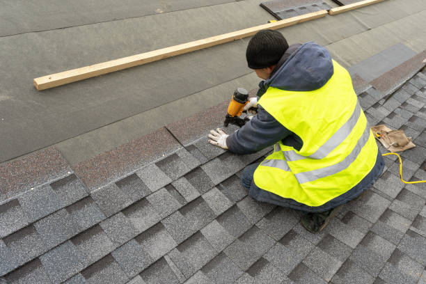 Best Roof Leak Repair  in Dry Run, OH