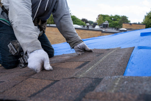 Best Roof Gutter Cleaning  in Dry Run, OH